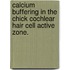 Calcium Buffering In The Chick Cochlear Hair Cell Active Zone.