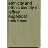 Ethnicity And Ethnic Identity In Jeffrey Eugenides'  Middlesex by Anika Gotje