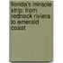 Florida's Miracle Strip: From Redneck Riviera To Emerald Coast