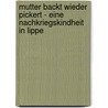 Mutter Backt Wieder Pickert - Eine Nachkriegskindheit In Lippe door Traudel Schmidt