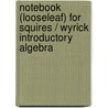 Notebook (Looseleaf) For Squires / Wyrick Introductory Algebra door Karen Wyrick