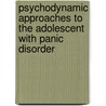 Psychodynamic Approaches To The Adolescent With Panic Disorder door Theodore Shapiro