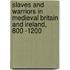 Slaves And Warriors In Medieval Britain And Ireland, 800 -1200