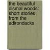 The Beautiful Dismal Woods: Short Stories From The Adirondacks door Ryan Schmit