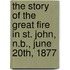 The Story Of The Great Fire In St. John, N.B., June 20Th, 1877