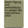 Besch Ftigung Und Weiterbildung Im Spiegel Des Mikrozensus 2003 door Kai Meinke