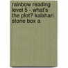 Rainbow Reading Level 5 - What's The Plot? Kalahari Stone Box A door Lesley Beake