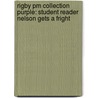 Rigby Pm Collection Purple: Student Reader Nelson Gets A Fright by Rigby