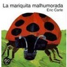 The Grouchy Ladybug (Spanish Edition): La Mariquita Malhumorada door National Geographic