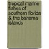Tropical Marine Fishes Of Southern Florida & The Bahama Islands