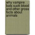 Why Vampire Bats Suck Blood and Other Gross Facts About Animals