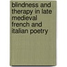 Blindness And Therapy In Late Medieval French And Italian Poetry door Julie Singer