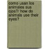 Como Usan Los Animales Sus Ojos?/ How Do Animals Use Their Eyes?
