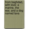 From Baghdad, With Love: A Marine, The War, And A Dog Named Lava door Melinda Roth