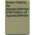 Breve historia de Aguascalientes/ Brief History of Aguascalientes