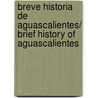 Breve historia de Aguascalientes/ Brief History of Aguascalientes by Beatriz Rojas