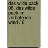Das Wilde Pack 06. Das Wilde Pack Im Verbotenen Wald / 6 by Boris Pfeiffer