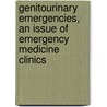Genitourinary Emergencies, An Issue Of Emergency Medicine Clinics door John M. Howell