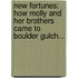 New Fortunes: How Molly And Her Brothers Came To Boulder Gulch...
