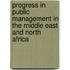 Progress In Public Management In The Middle East And North Africa