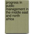 Progress In Public Management In The Middle East And North Africa