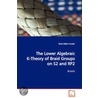 The Lower Algebraic K-Theory Of Braid Groups On S2 And Rp2 Braids door Silvia Millan-Vossler
