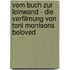 Vom Buch Zur Leinwand - Die Verfilmung Von Toni Morrisons Beloved
