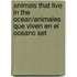 Animals That Live in the Ocean/Animales Que Viven En El Oceano Set