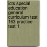 Icts Special Education General Curriculum Test 163 Practice Test 1 door Sharon Wynne