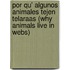 Por Qu' Algunos Animales Tejen Telaraas (Why Animals Live in Webs)