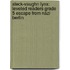 Steck-Vaughn Lynx: Leveled Readers Grade 5 Escape From Nazi Berlin