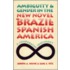 Ambiguity and Gender in the New Novel of Brazil and Spanish America