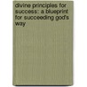 Divine Principles For Success: A Blueprint For Succeeding God's Way door Lisa Great