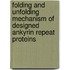 Folding And Unfolding Mechanism Of Designed Ankyrin Repeat Proteins