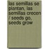 Las semillas se plantan, las semillas crecen / Seeds Go, Seeds Grow