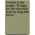 Miracle In The Andes: 72 Days On The Mountain And My Long Trek Home