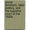 Social Feminism, Labor Politics, and the Supreme Court of the 1920s door Sybil Lipschultz