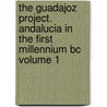 The Guadajoz Project. Andalucia In The First Millennium Bc Volume 1 door Maria Cruz Fernandez Castro