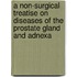 A Non-Surgical Treatise On Diseases Of The Prostate Gland And Adnexa