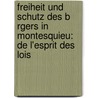 Freiheit Und Schutz Des B Rgers In Montesquieu: De L'Esprit Des Lois door Thorsten Sch Lke