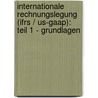 Internationale Rechnungslegung (Ifrs / Us-Gaap): Teil 1 - Grundlagen door Stefan Rauhut