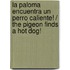 La Paloma encuentra un perro caliente! / The Pigeon Finds a Hot Dog!
