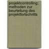 Projektcontrolling: Methoden Zur Beurteilung Des Projektfortschritts by Dominik Schäfer