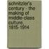 Schnitzler's Century - The Making of Middle-Class Culture, 1815-1914