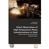 Direct Observation Of High-Temperature Phase Transformations In Steel door Salar Niknafs