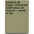 Palabras De Fuego: Reflexiones Sobre Jesus De Nazaret = Words Of Fire