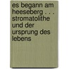Es Begann Am Heeseberg . . . Stromatolithe Und Der Ursprung Des Lebens by Urs Hochsprung