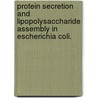 Protein Secretion And Lipopolysaccharide Assembly In Escherichia Coli. door Fion Kwan Yee Lau