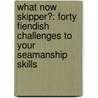 What Now Skipper?: Forty Fiendish Challenges To Your Seamanship Skills door Andrew Bray