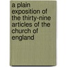 A Plain Exposition Of The Thirty-Nine Articles Of The Church Of England door William Baker